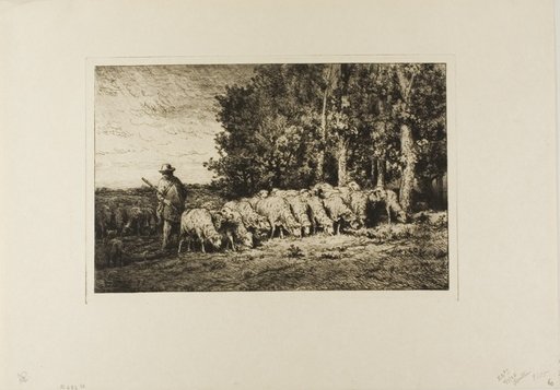 Flock of Sheep at the Edge of a Wood