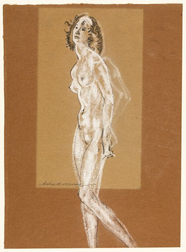 Standing Female Nude