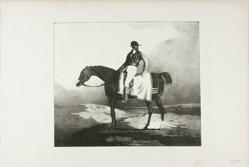 Jockey Astride an English Horse