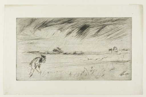 The Storm