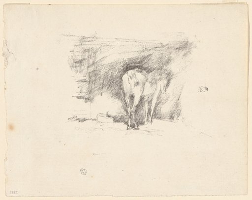 Study of a Horse