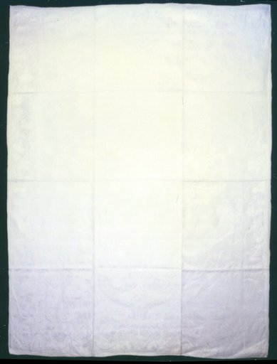 Napkin