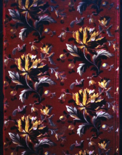 Panel (Dress Fabric)