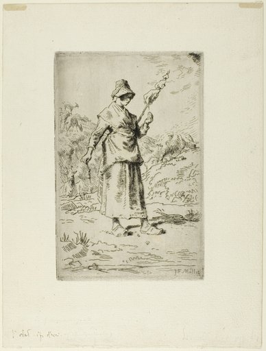 The Spinner