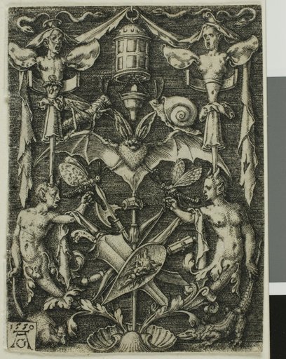 Ornamental Design with a Bat in the Centre