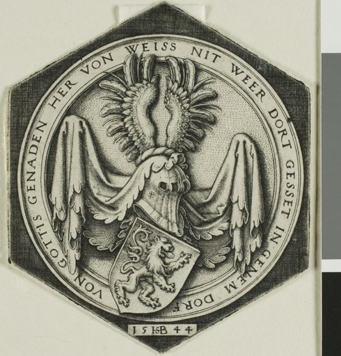 Coat of Arms with a Rampant Lion