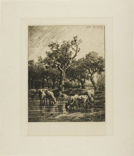 Cows at a Watering Place