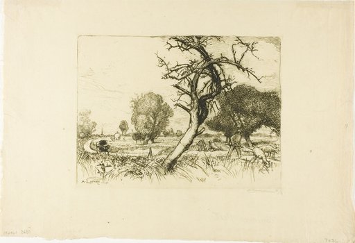 The Dead Apple Tree