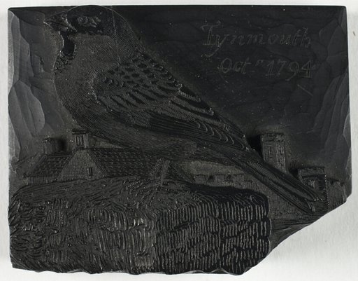 Woodblock for The Sparrow, from A History of British Birds