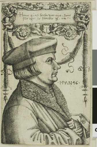 Portrait of a Man