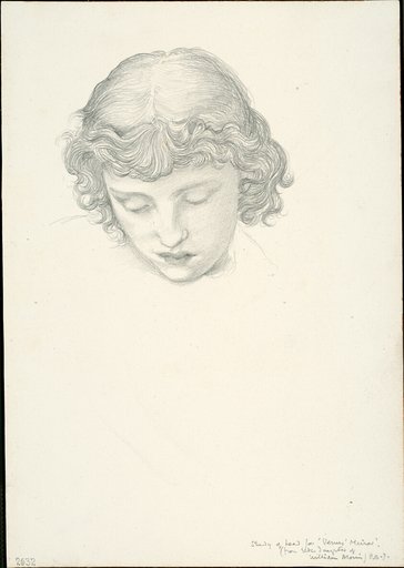 Study for Mirror of Venus: Head
