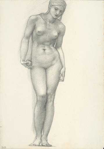 Venus with Golden Apple in Right Hand, for the Troy Triptych (sketchbook #2639)