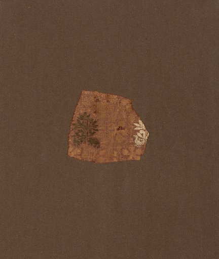 Fragment