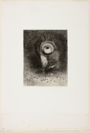 There Was Perhaps a First Vision Attempted in the Flower, plate 2 of 8 from "Les Origines"