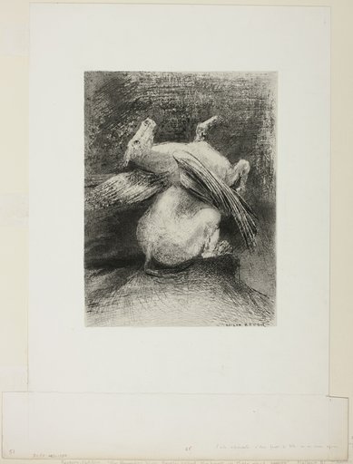 The Impotent Wing Did Not Lift the Animal Into That Black Space, plate 7 of 8 from "Les Origines"