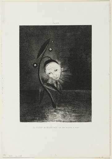 The Marsh Flower, a Sad Human Head, plate 2 of 6