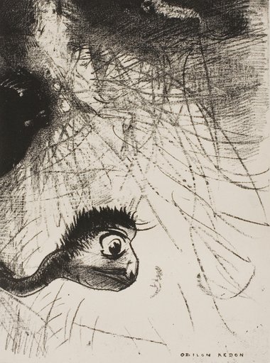 St. Anthony: "Somewhere There Must Be Primordial Shapes Whose Bodies Are Only Images", plate 4 of 6