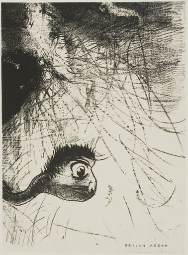 Saint Anthony: "Somewhere there must be primordial shapes whose bodies are only images, plate 4 of 6