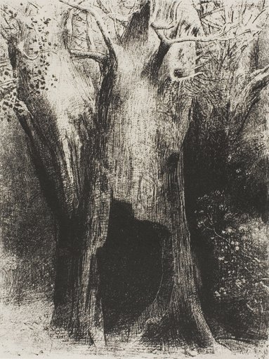 I Plunged into Solitude. I Dwelt in the Tree behind Me, plate 9 of 24