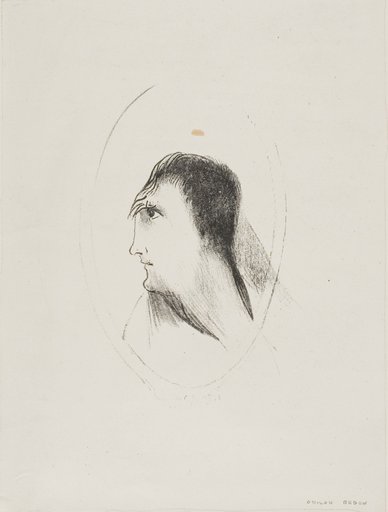 The Width and Flatness of [the] Frontal [Bone], plate 6 of 6