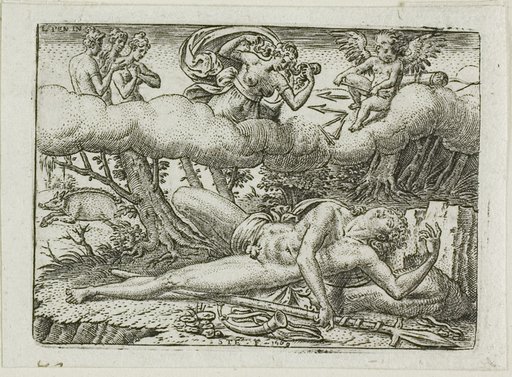 The Death of Adonis