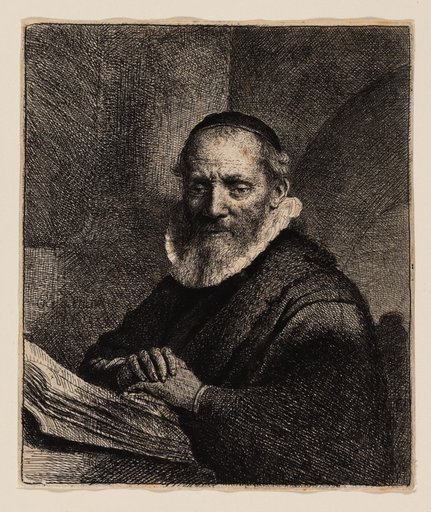 Jan Cornelius Sylvius
