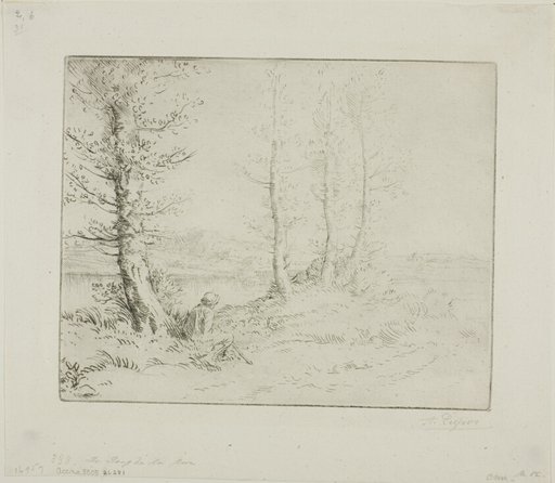 Along the Riverbank