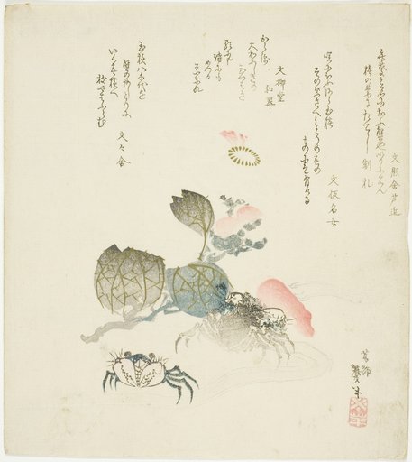 Two crabs by a spray of camellia