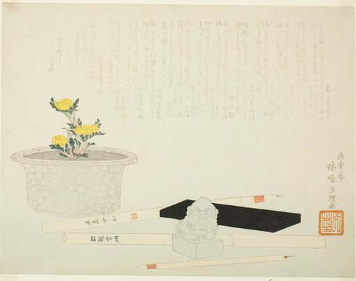 Potted adonis with writing implements
