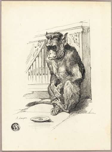 Begging Monkey
