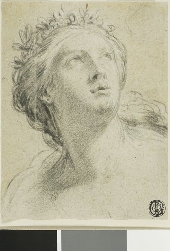 Head of a Woman