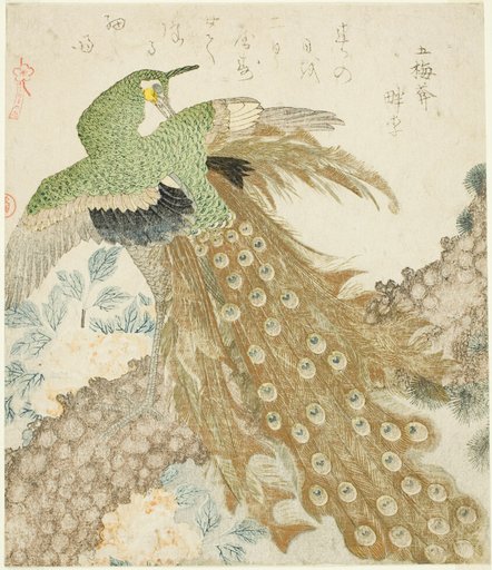 Peacock, Pine Tree, and Peonies, from the series "A Set of Three Petals (San hira no uchi)"