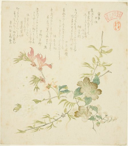 Various Spring Flowers, from the series "Springtime Plants and Trees for the Kasumi Poetry Circle of the Yomo Group (Yomogawa Kasumi-ren haru no kusaki no uchi)"