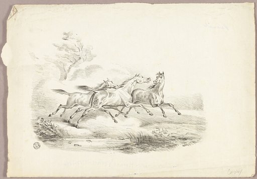 Three Horses Running