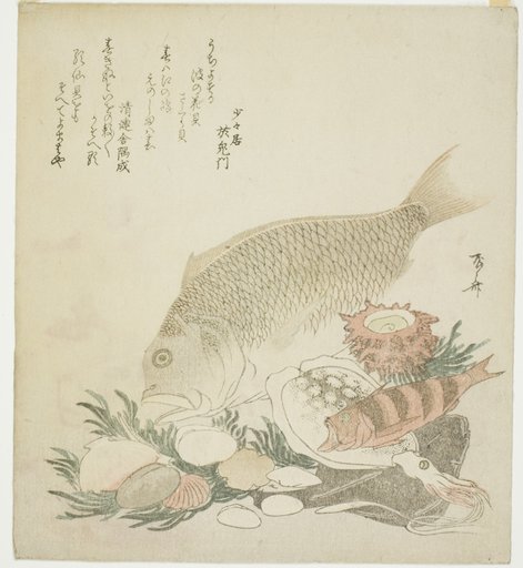 Fish and shells