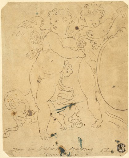 Putti with Shield