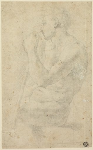 Academic Male Nude