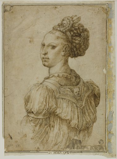Ideal Bust of a Woman