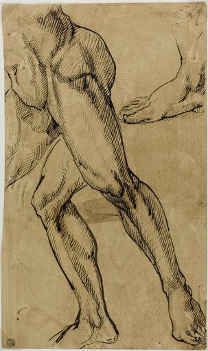 Legs and Feet of Male Nude