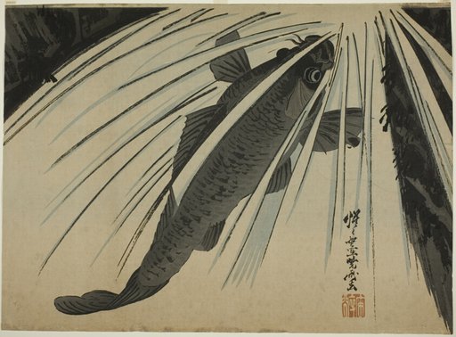 Carp Ascending Falls