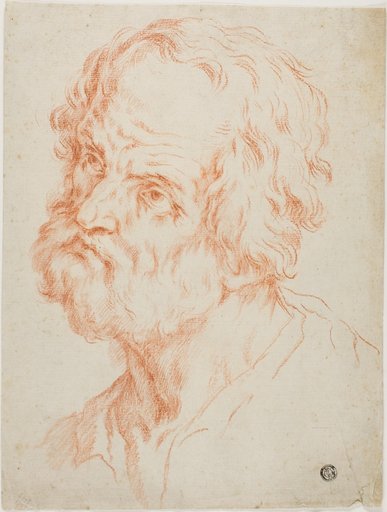 Male Head