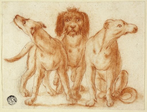 Three Dogs
