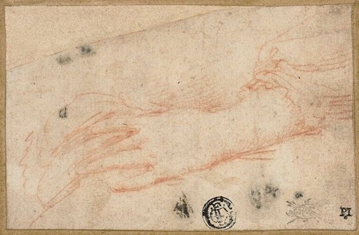Sketch of Left Hand and Wrist
