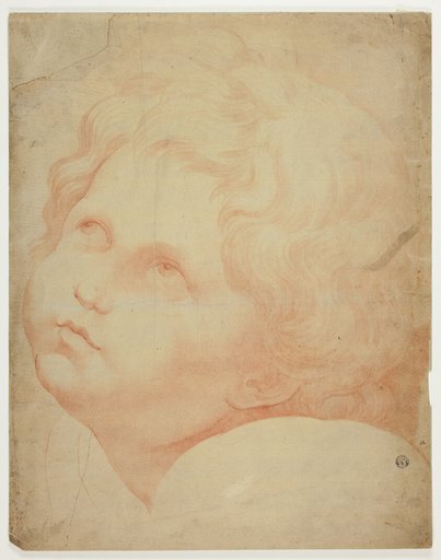 Child's Head, Looking Upward