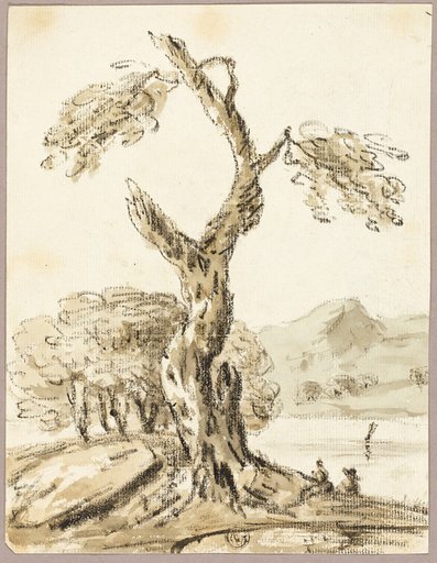 Large Tree with Lake and Mountains in Background