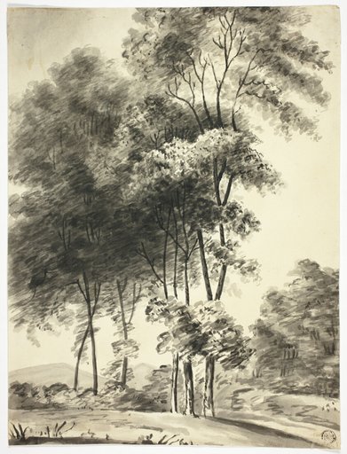Trees with Mountains in Distance