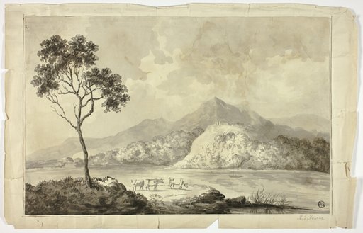 Cows by Mountain Lake