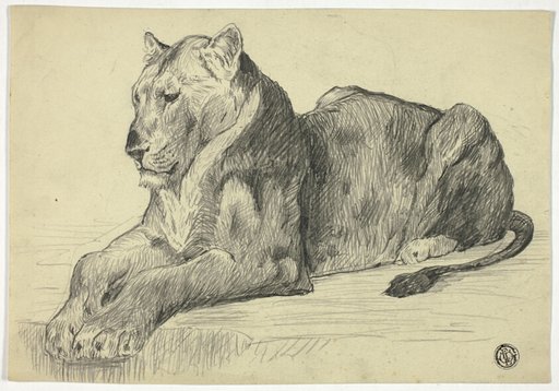 Lioness