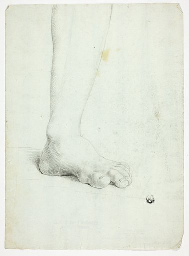 Left Leg of Standing Figure