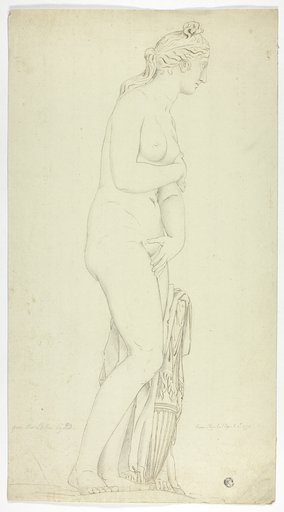 Antique Statue of Standing Venus